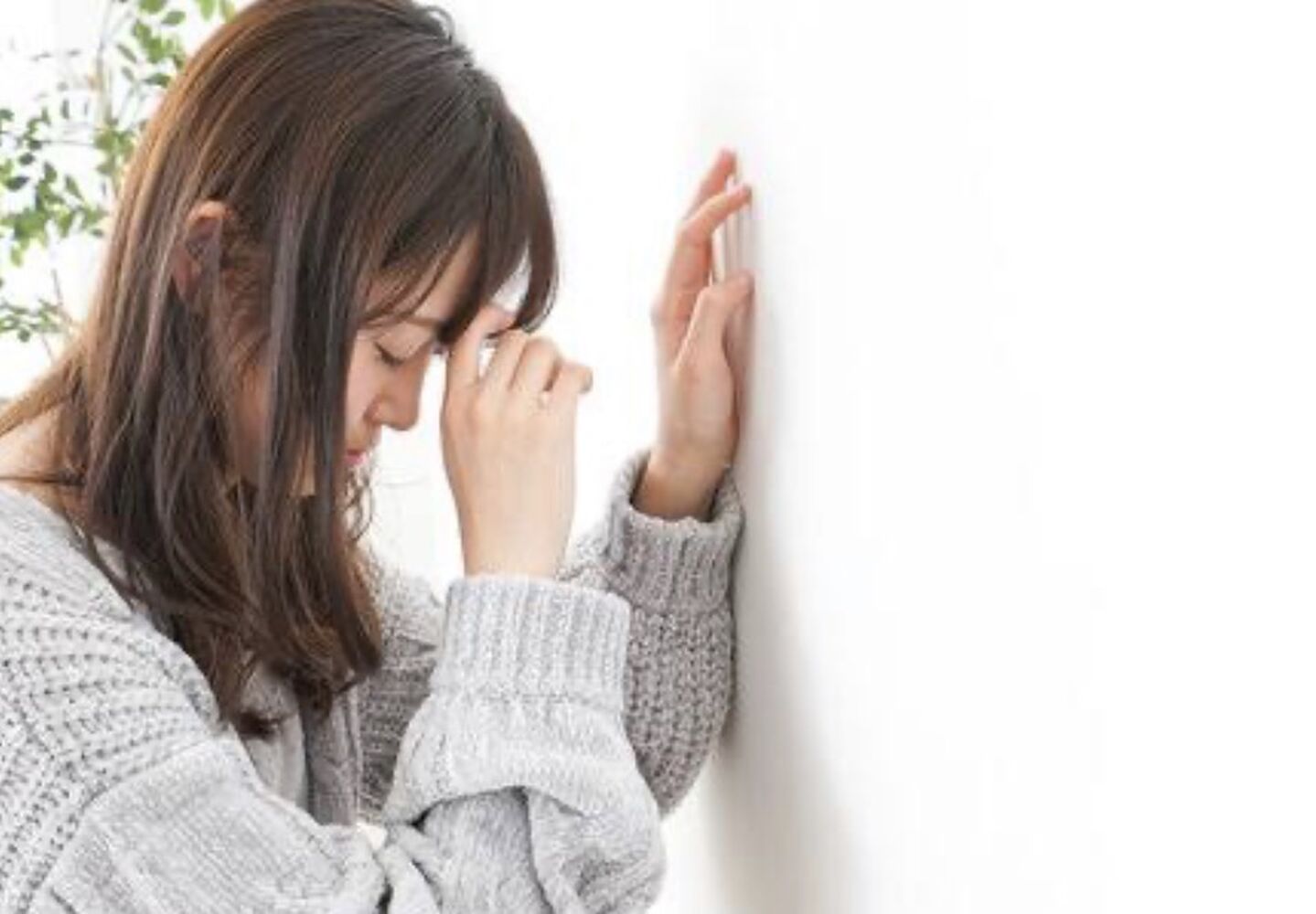 画像16244