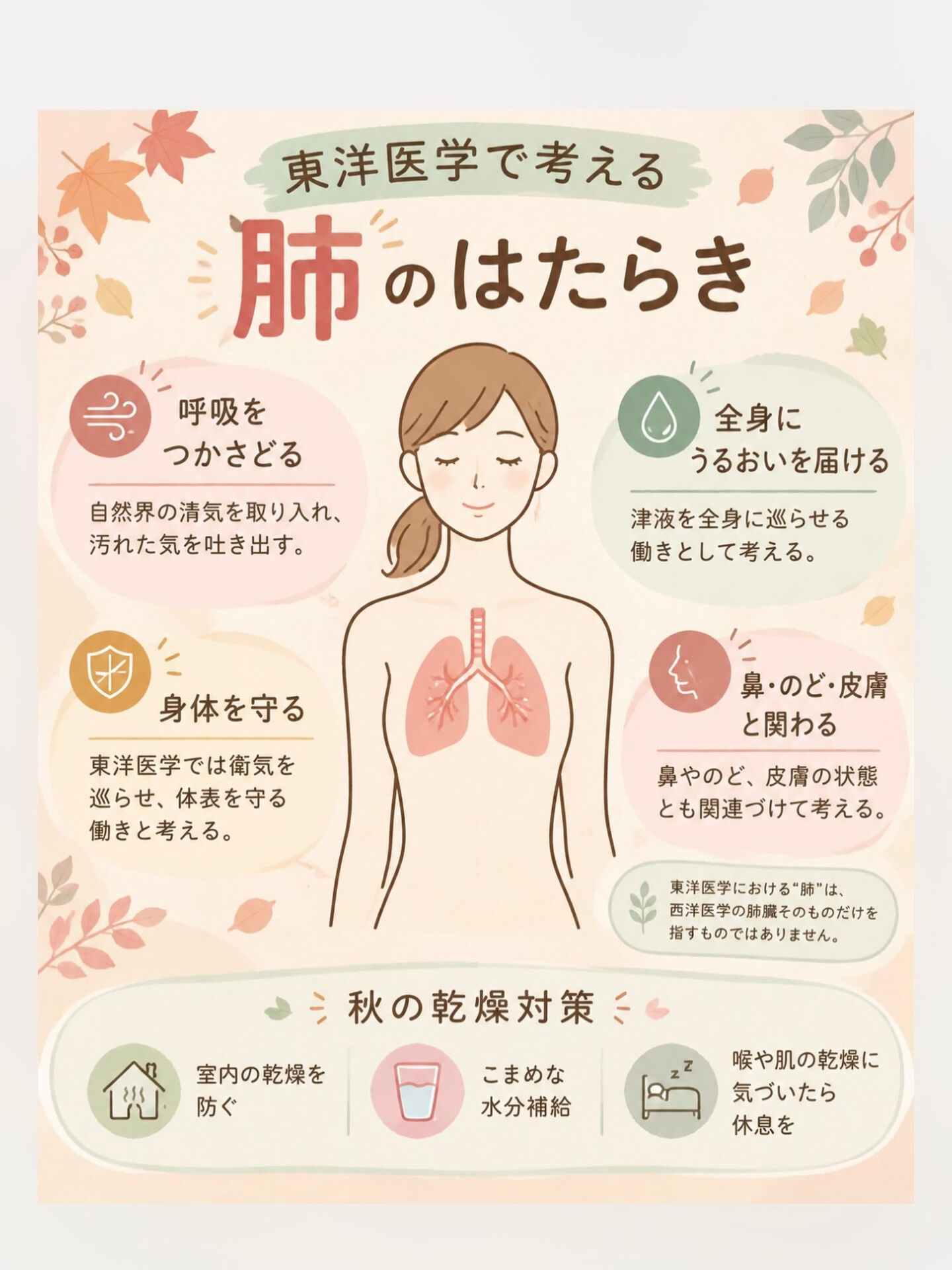 🍂 東洋医学で考える「肺」のはたらき🫁