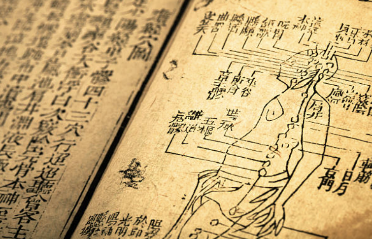   人間を自然の一部と捉え、全体の調和を重視する  